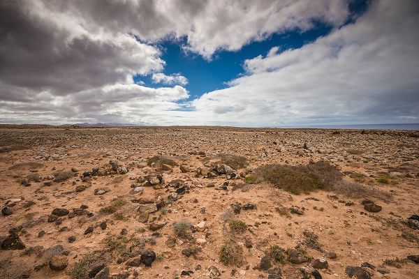 Canary Islands-Fuerteventura Island-Punto de Paso Chico-west coast desert landscape